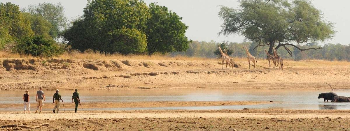 Zambia Travel