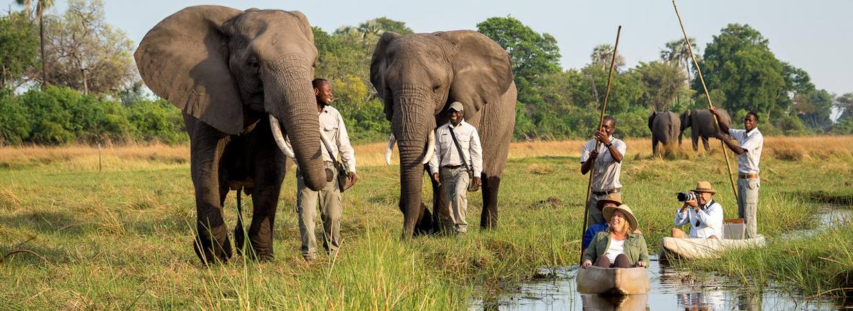 tourism policy botswana