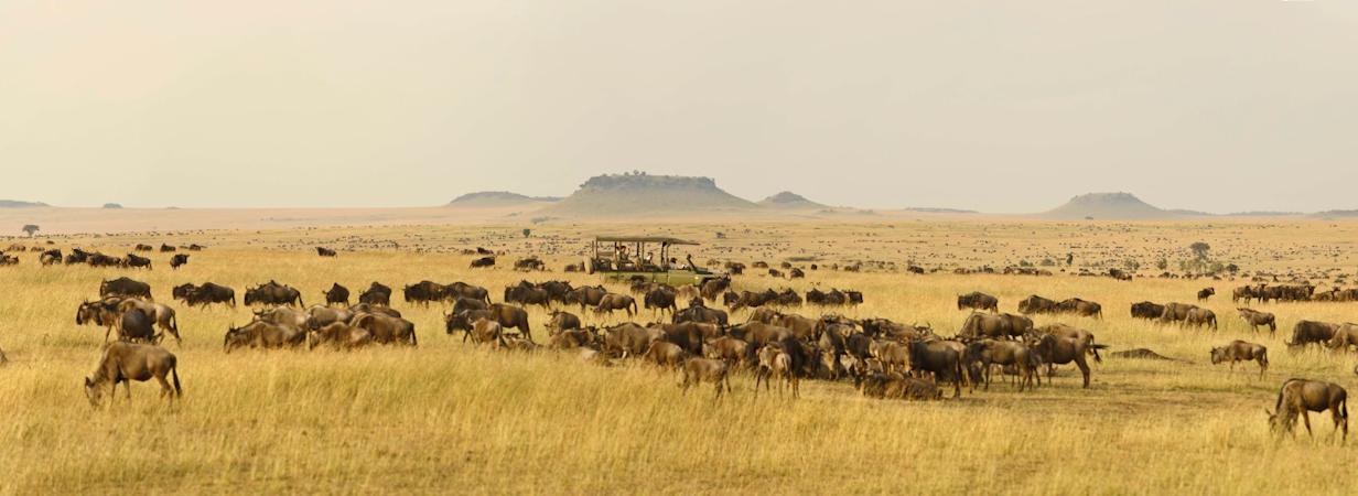 Serengeti Safari Packages | The Best In Tanzania Safari Holidays