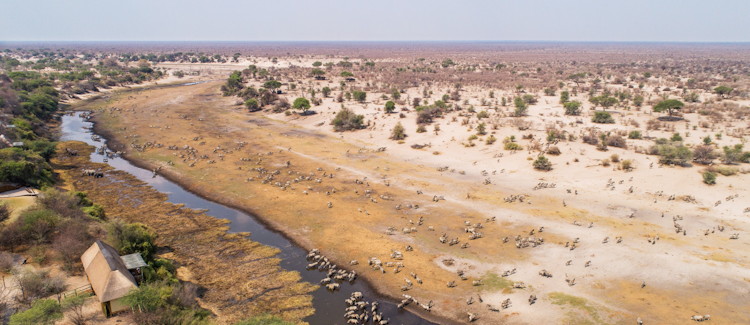 Makgadikgadi Pans National Park