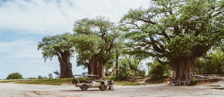 Nxai Pan National Park