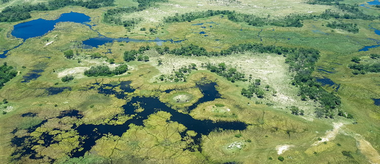 Botswana Safari By Aircraft | African Safari Blog