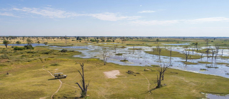 Moremi Game Reserve Botswana Okavango Delta lions elephants wild dogs world-class safari