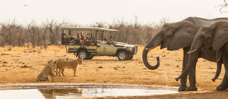 Savuti Chobe National Park Botswana lions elephants hyenas leopards game drives photography