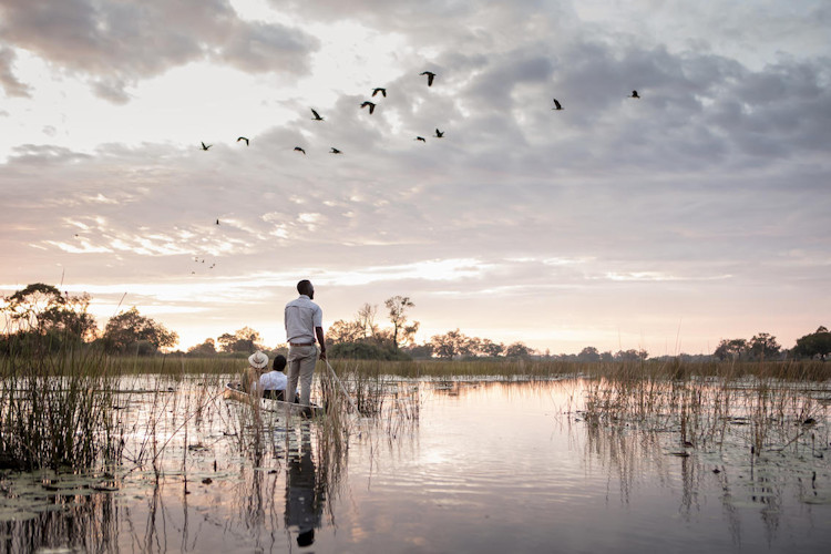 Unique safari experiences Okavango Delta walking elephants Abu Camp San bushmen Kalahari Plains
