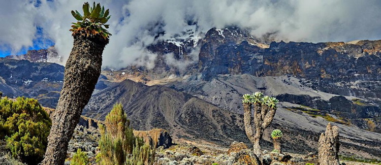Mount Kilimanjaro Tanzania highest mountain Africa 5895m dormant volcano three cones bucket list