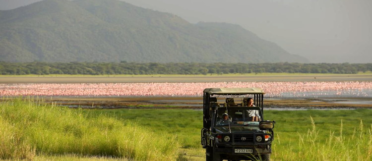 Lake Manyara National Park Tanzania tree-climbing lions flamingos 350 bird species bucket list