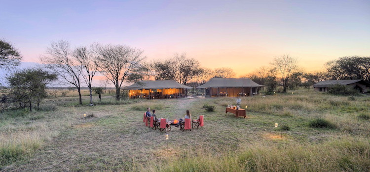 10 Best Serengeti Safari Holidays | African Safari Blog