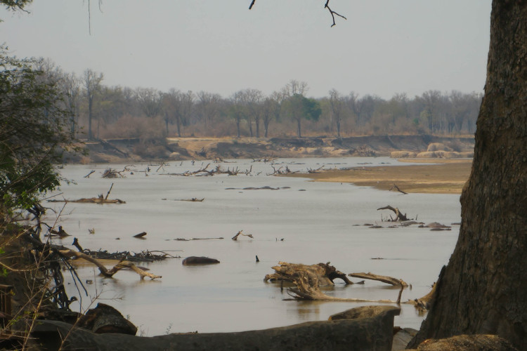Scenic beauty South Luangwa National Park woodlands floodplains Luangwa River dramatic landscapes Zambia