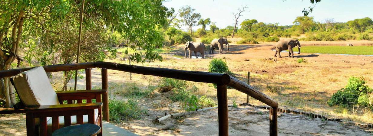 Elephant Valley Lodge Botswana | Chobe Lodges And Camps