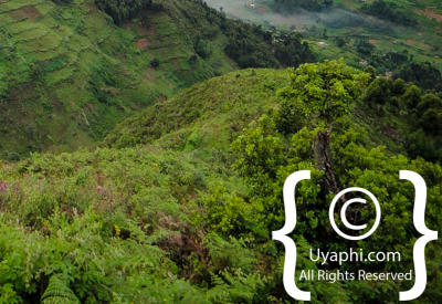 Uganda Scenery Photos