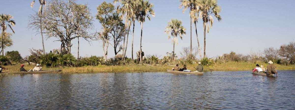 Botswana Safari Planner