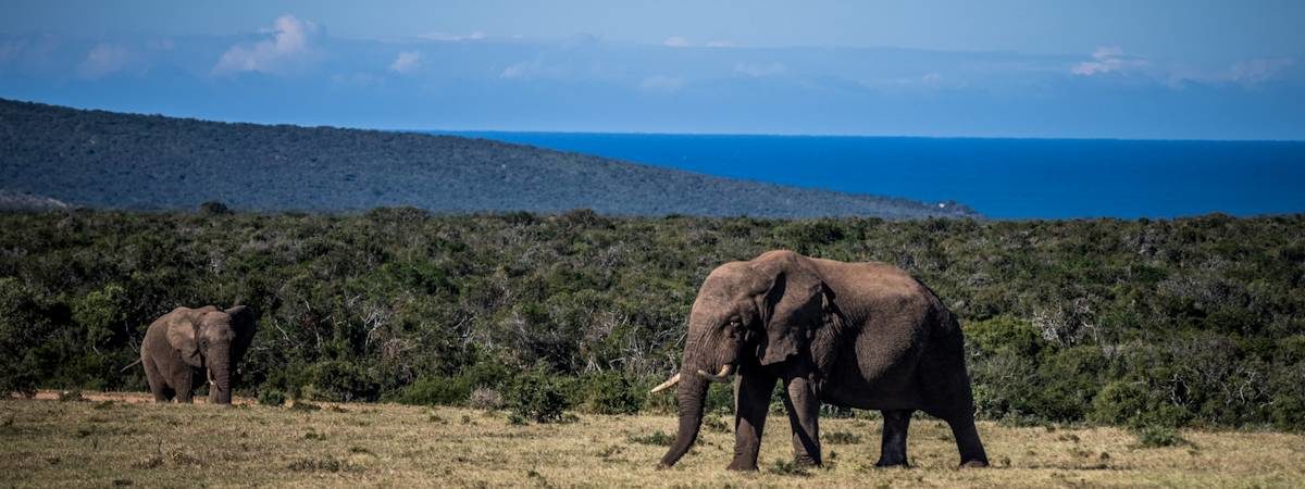 Travel to the Eastern Cape, South Africa