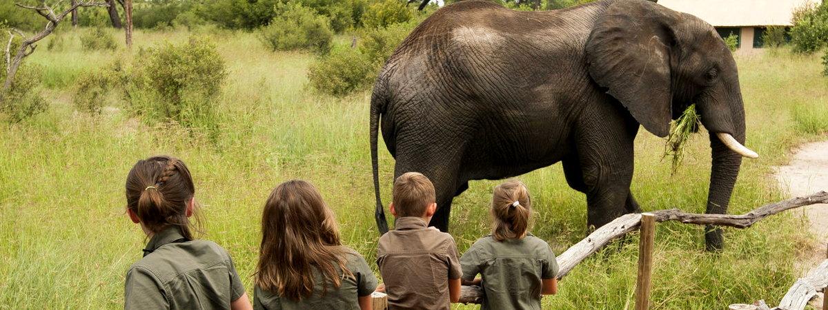 Zimbabwe Family Friendly Lodges