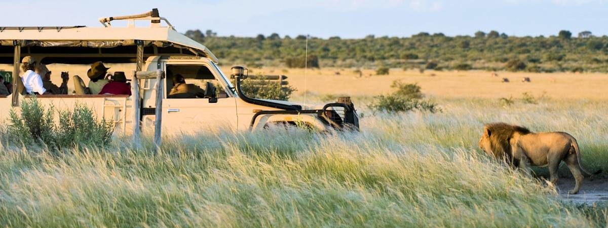 Kalahari Desert Lodges