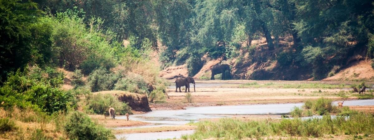 The amazing Kruger National Park in South Africa