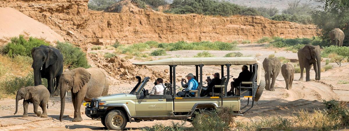 safari tours namibia