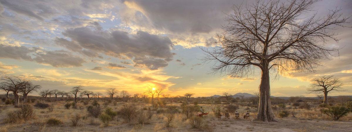 Lodges In The Ruaha National Park