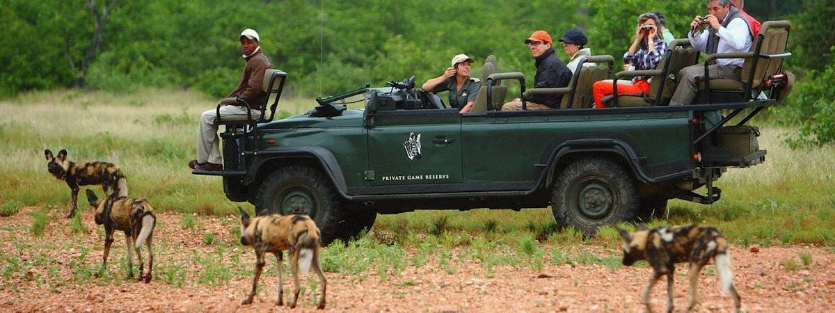 South Africa Safaris