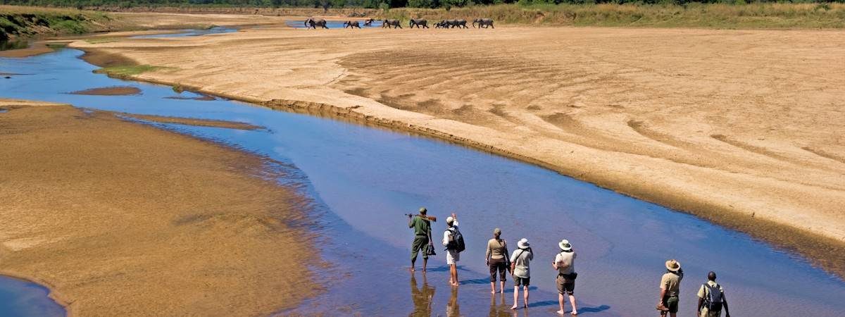 Zambia Safaris