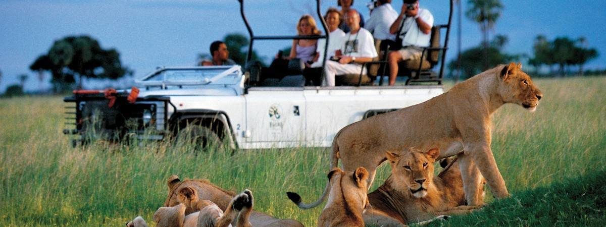 Zimbabwe Safaris | Safaris In Zimbabwe