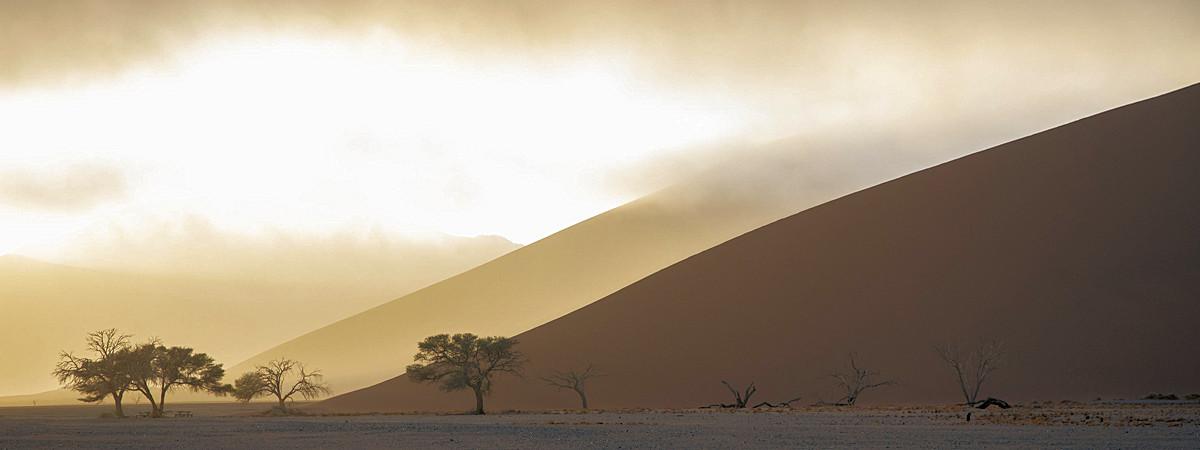 Discover the 10 Best Lodges in Namibia for an Unforgettable Stay