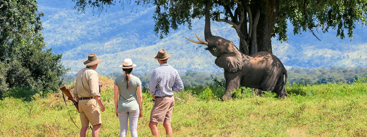 10 reasons to visit Mana Pools National Park