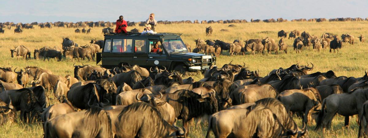 10 Reasons to Visit Masai Mara for an Unforgettable Safari Experience