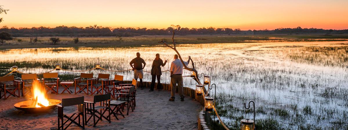 5 Best Lodges in Moremi Game Reserve for Your Perfect Safari Getaway