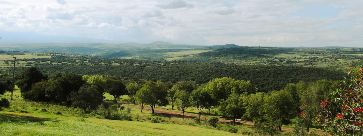 Aberdare National Park Safari