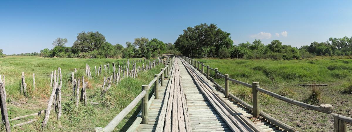 The Best Okavango Delta Safari Itinerary for Unforgettable Adventures