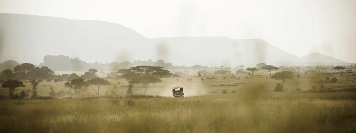 The Best Tanzania Safari Itinerary: Explore National Parks in 10 Days