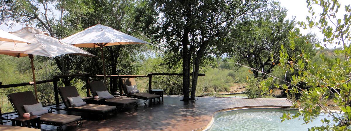 Impodimo Game Lodge Review