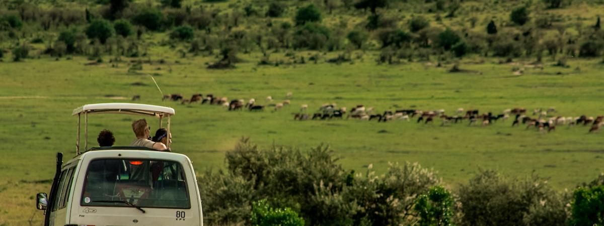 Kenya: Top Holiday Destinations for 2022