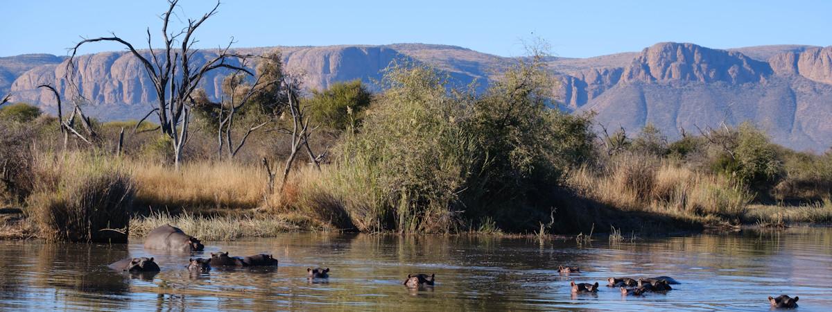 Reasons to Visit the Marakele National Park