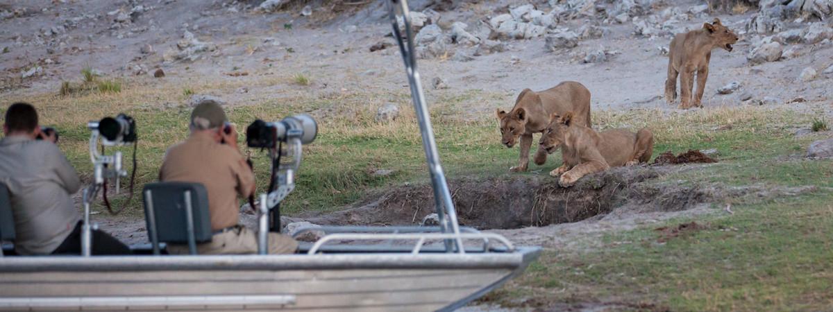 Top 10 Reasons to Visit the Chobe National Park in 2025