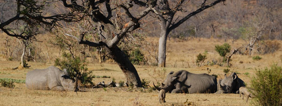 Waterberg Region of South Africa