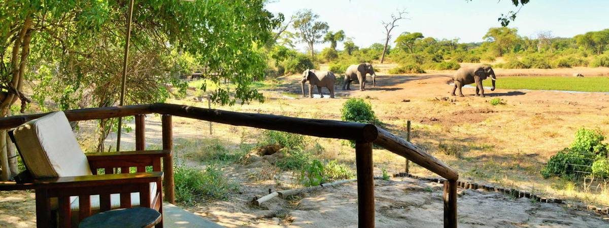 Waterhole at Elephant Valley Lodge