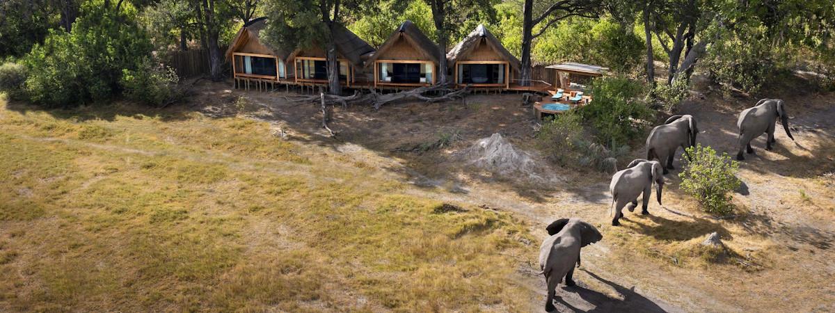 Tawana Camp a luxury Moremi safari camp