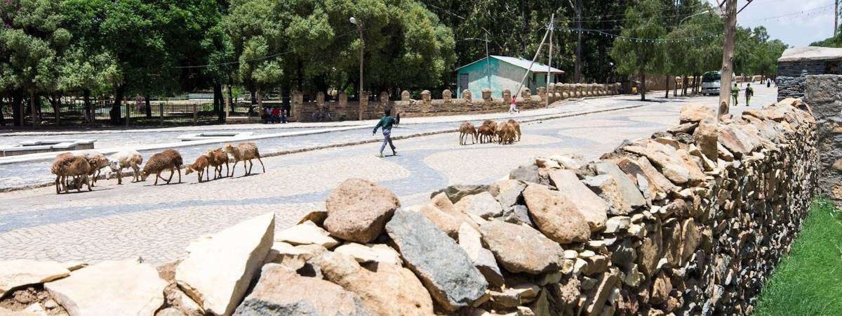 The Town Of Axum