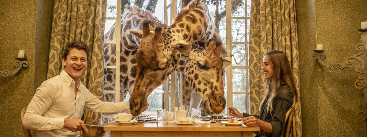 The World famous Giraffe Manor near Nairobi