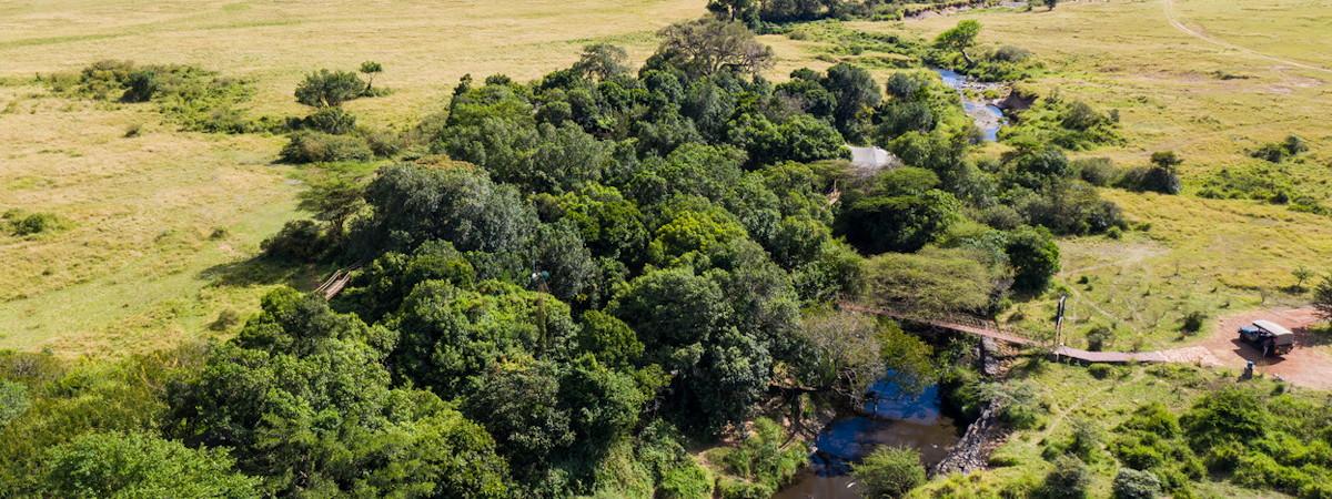 Mara Plains Camp in the Mara Triangle