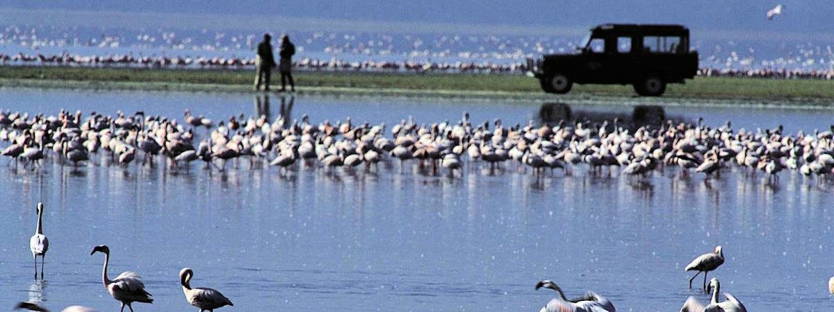 Lake Naivasha