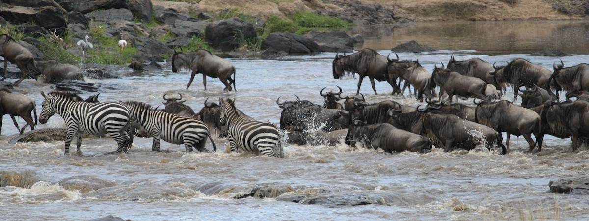 Treasures of Kenya Safari