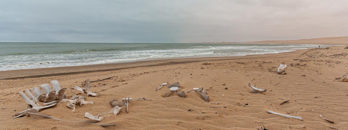 Skeleton Coast National Park