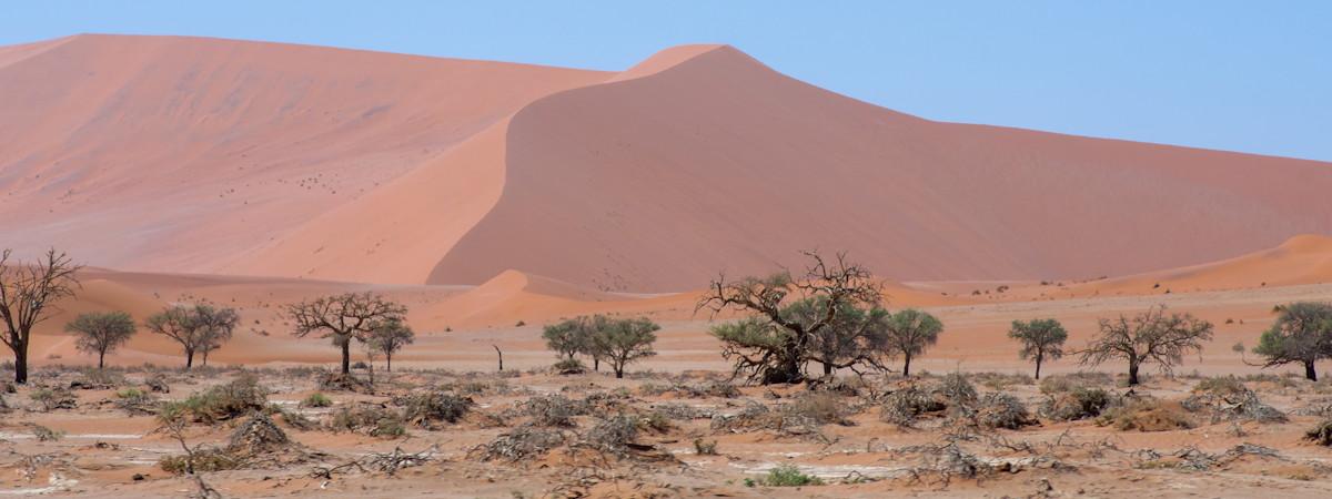 Sossusvlei And Deadvlei