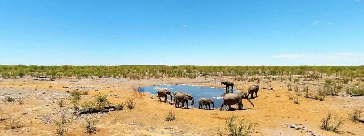 Halali Rest Camp, Etosha National Park