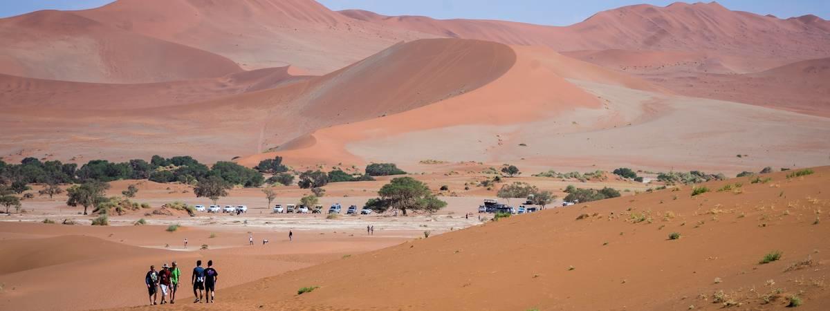 Classic Namibia Safari