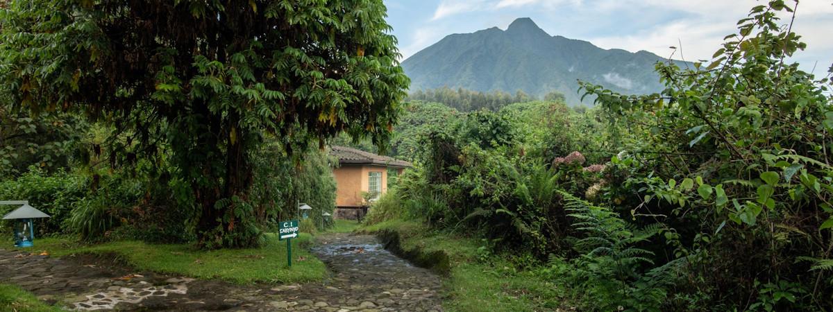 Wilderness Sabyinyo Silverback Lodge