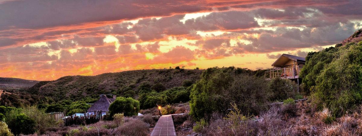 Amakhala Hillsnek Lodge